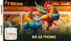 Đá gà Thomo